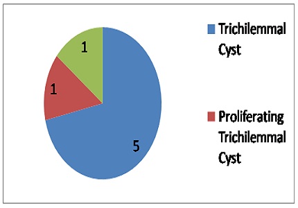 A histomorphological study of trichilemmal cysts: a rural hospital experience