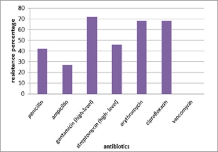 Bactericidal activity of acetone extract of Alpinia galanga on multidrug resistant clinical isolates of Enterococcus faecalis
