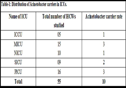 Carrier status of Acinetobacter among healthcare personnel and prevalence of the same in the environment
